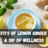 Benefits of Lemon Ginger Tea: A Sip of Wellness